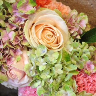 Hortensia, nejlika, sweet avalanche ros